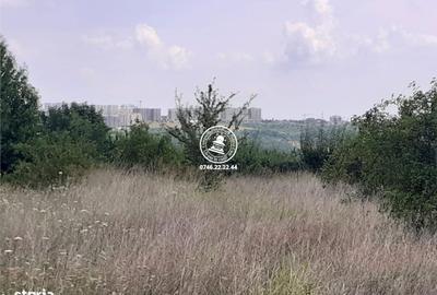 Spațiu comercial, în Valea Lupului - 4