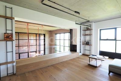 Apartament Loft spatios cu 4 camere | terasa 32mp - 22