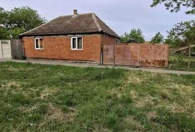 Casă cu 2 camere în Satchinez - 5
