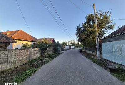 Casă cu 3 camere cu Teren 4820 Mp în Telești - 1