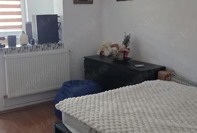 Apartament cu 2 camere decomandat în Cetate - 9