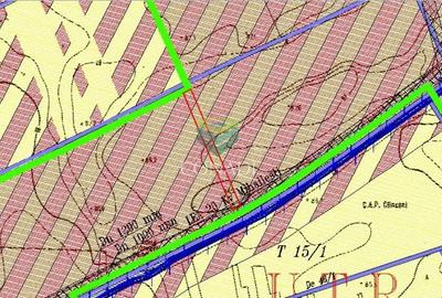 Teren agricol intravilan de 5792 mp, în Clinceni - 8