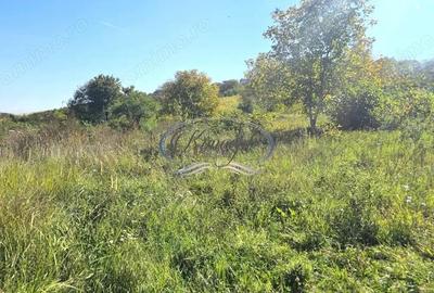 Teren intravilan cu front generos in cartierul Gruia - 3