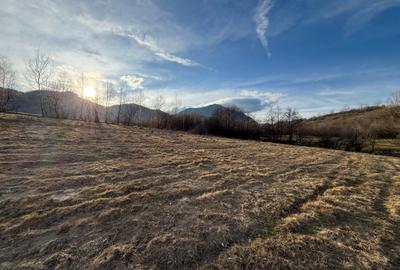 Teren Construcții intravilan de 500 mp, în Bran - 4