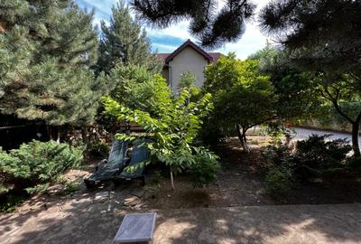 Casă individuală cu 7 camere cu Teren 600 Mp în Voluntari - 10