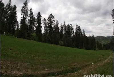 Teren de 8200 mp, în Poiana Țapului