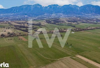 Teren de 8557 mp, în Plaiul Foii - 10