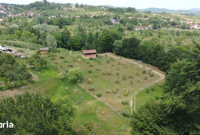 Teren de 6200 mp, în Cicănești - 8