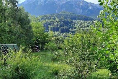 In cartea de povesti a Pietrei Craiului, ansamblu turistic in circuit,Plaiul Foi - 14