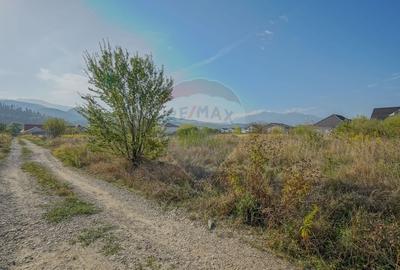 Teren de vanzare 1,000mp Cristian  - intravilan - 2