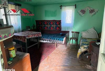 Casă cu 4 camere cu Teren 7701 Mp în Vințu de Jos - 10