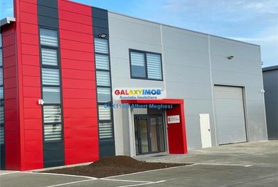 Inchiriere hala depozitare Parc Industrial TBM Rudeni Inchiriere hala depozitare Parc Industrial TBM Rudeni - 7