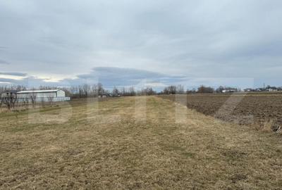 Teren de 5200 mp, în Central