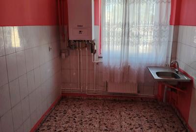 Apartament cu 2 camere în Țarna Mare - 3