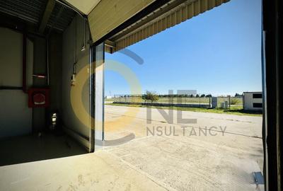 Spațiu industrial, de 2,600 mp, în Balotești - 7