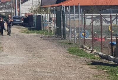 Teren Construcții intravilan de 483 mp, în Lazu - 2