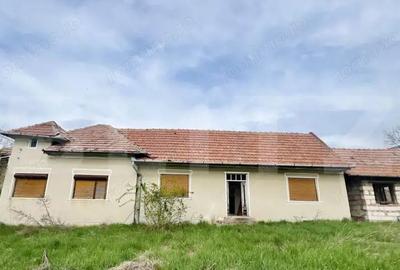 Casa de Vanzare, 4139 mp, Hapria, Ciugud Ideala ca Locuin?a sau Proiect Rural - 2