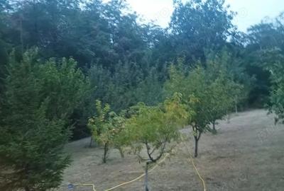 Casă cu Teren 2800 Mp în Văleni - 10