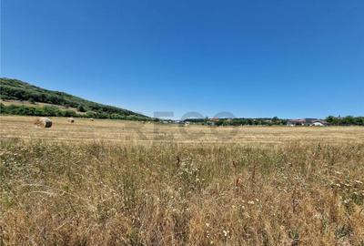 RECO parcele Betfia - 3