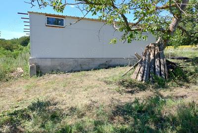 Hala pe Structura Metalica+ Casabatraneasca + 4800 m2 - 3