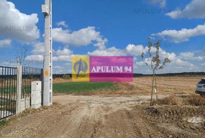 Gulia, teren intravilan curti-constructii, 523 mp - 4