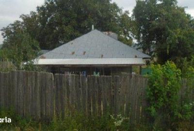 Casă cu 3 camere cu Teren 3487 Mp în Tănăsoaia - 9