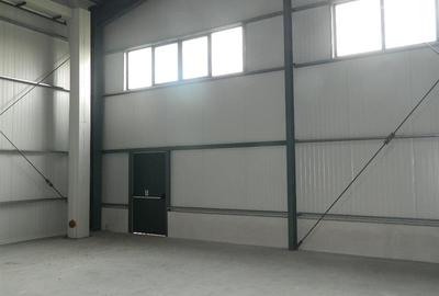 Hala noua productie / depozitare ,1000 mp , zona Aradului - 6