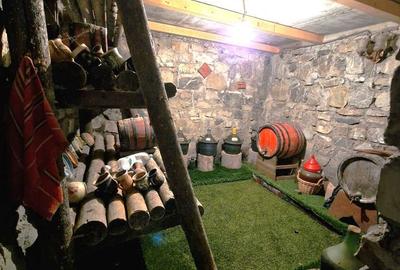 Casă cu 4 camere în Teiș - 16