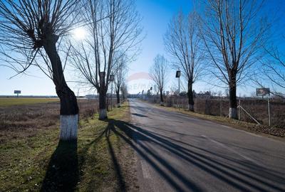 Teren 15,637mp Baicoi deschidere la DN1 - 24