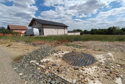 Descopera o oportunitate rara: Teren intravilan- 2.000 mp in Zadareni - 3