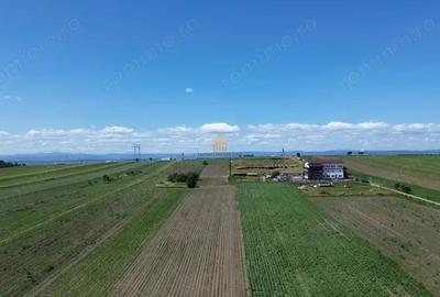 Teren de 36977 mp, în Central - 5