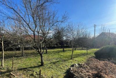 Casă cu 7 camere cu Teren 2544 Mp în Cicârlău - 3