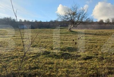 Teren extravilan 2000mp, zona RAAL - 1