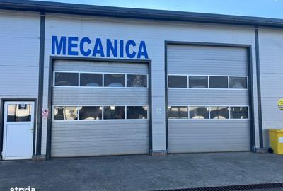 Spațiu comercial, de 1,433 mp, în Groși - 11