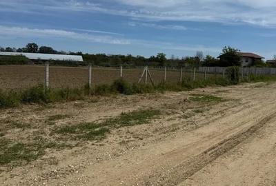 Teren Intravilan | Cornetu  | 6200mp Teren Intravilan | Cornetu  | 6200mp - 2