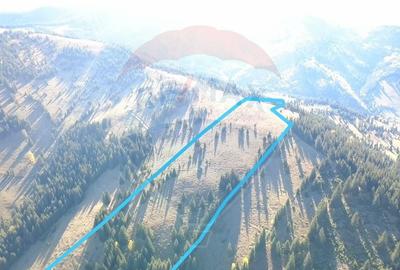 Teren extravilan de 47732 mp, în Panaci - 4