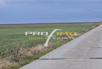 Teren de 4200 mp, în Corbu - 9