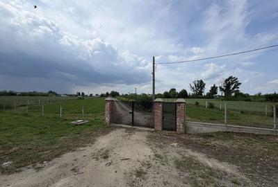 Teren de 10000 mp, în Gara Ianca - 1