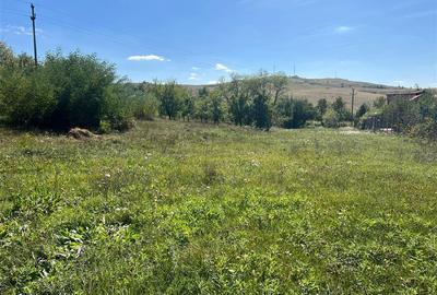 Teren Construcții intravilan de 2075 mp, în Drajna de Jos - 2