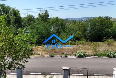 Duplex integral 2 unitati, vedere lac Ciurbesti, doar 140000 - 9