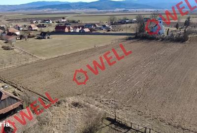 Casă cu 3 camere cu Teren 2407 Mp în Zăbala - 3