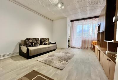 Garsoniera de inchiriat in Noua cu vedere panoramica - 2