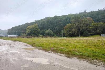 Teren de 2000 mp, în Cristian - 3