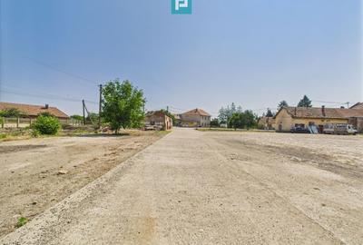 Spațiu industrial, de 6,179 mp, în Orțișoara - 38