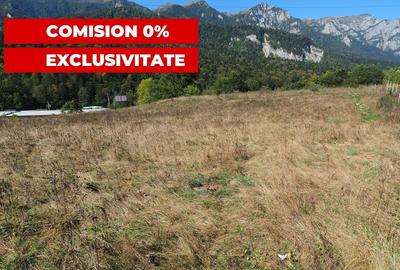 VANZARE TEREN INTRAVILAN SINAIA-CUMPATU Strada Zamora-9.801 mp-Comision 0% - 9