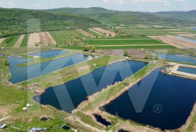 Teren Extravilan cu lac – Investitie in Natura si Agrement | 35.251 mp - 5