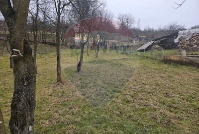 Casă cu 5 camere cu Teren 1958 Mp în Est - 12