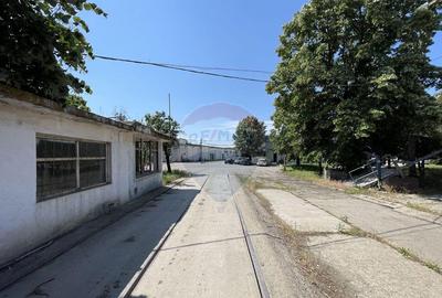 Teren de 35000 mp, în Chiajna - 2