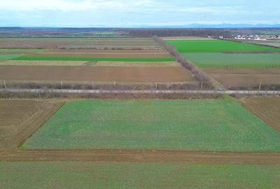 Teren de 6600 mp, în Lazuri - 7