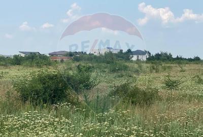 DE VANZARE Teren intravilan 600mp Drumul Piscul Mosului SISESTI - 14